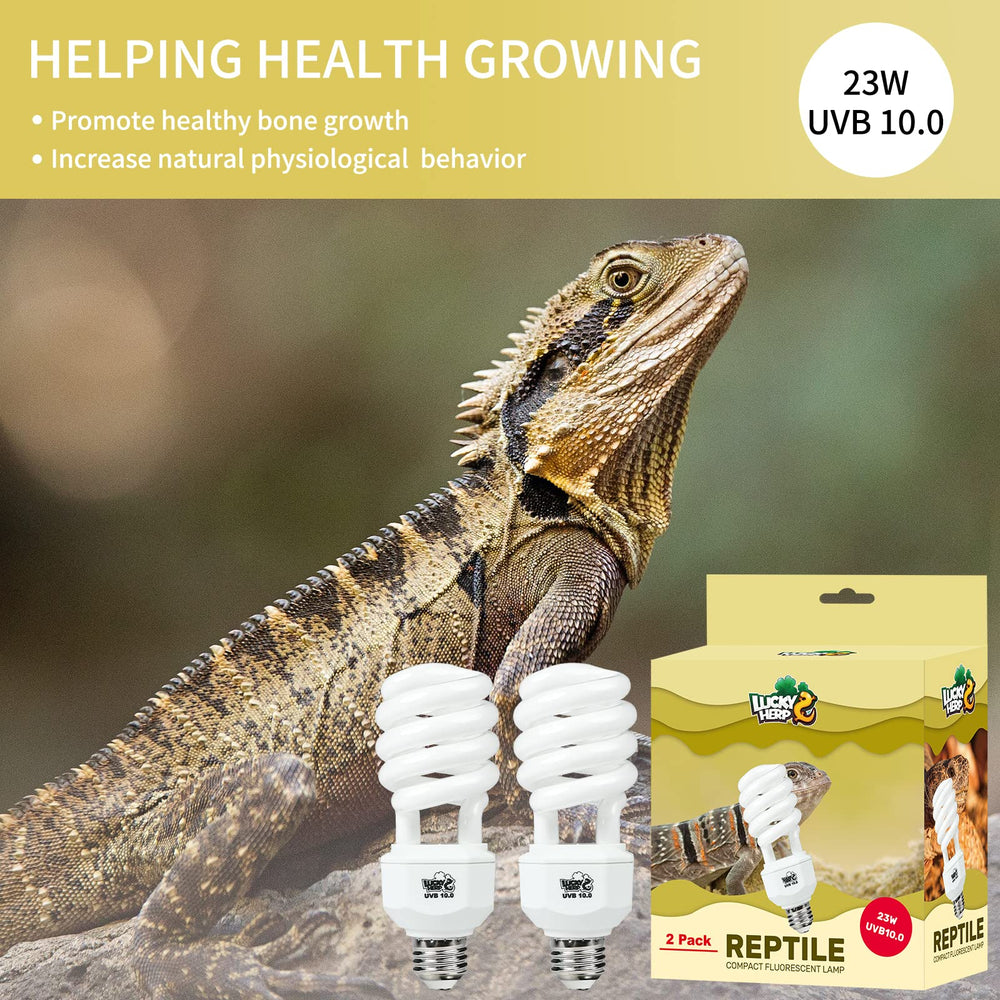 Lucky Herp setup demonstrating safe 30 cm distance from reptile.