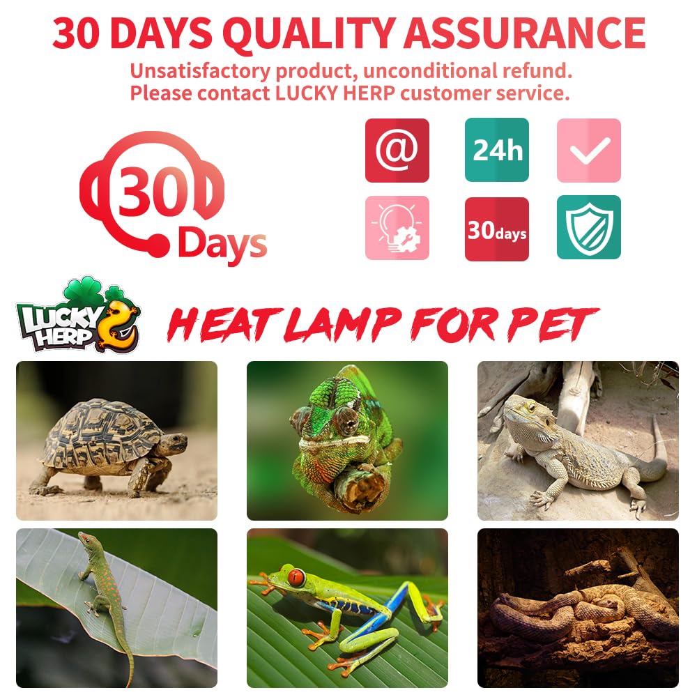 LUCKY HERP safety-focused setup with distance guidelines for reptiles.