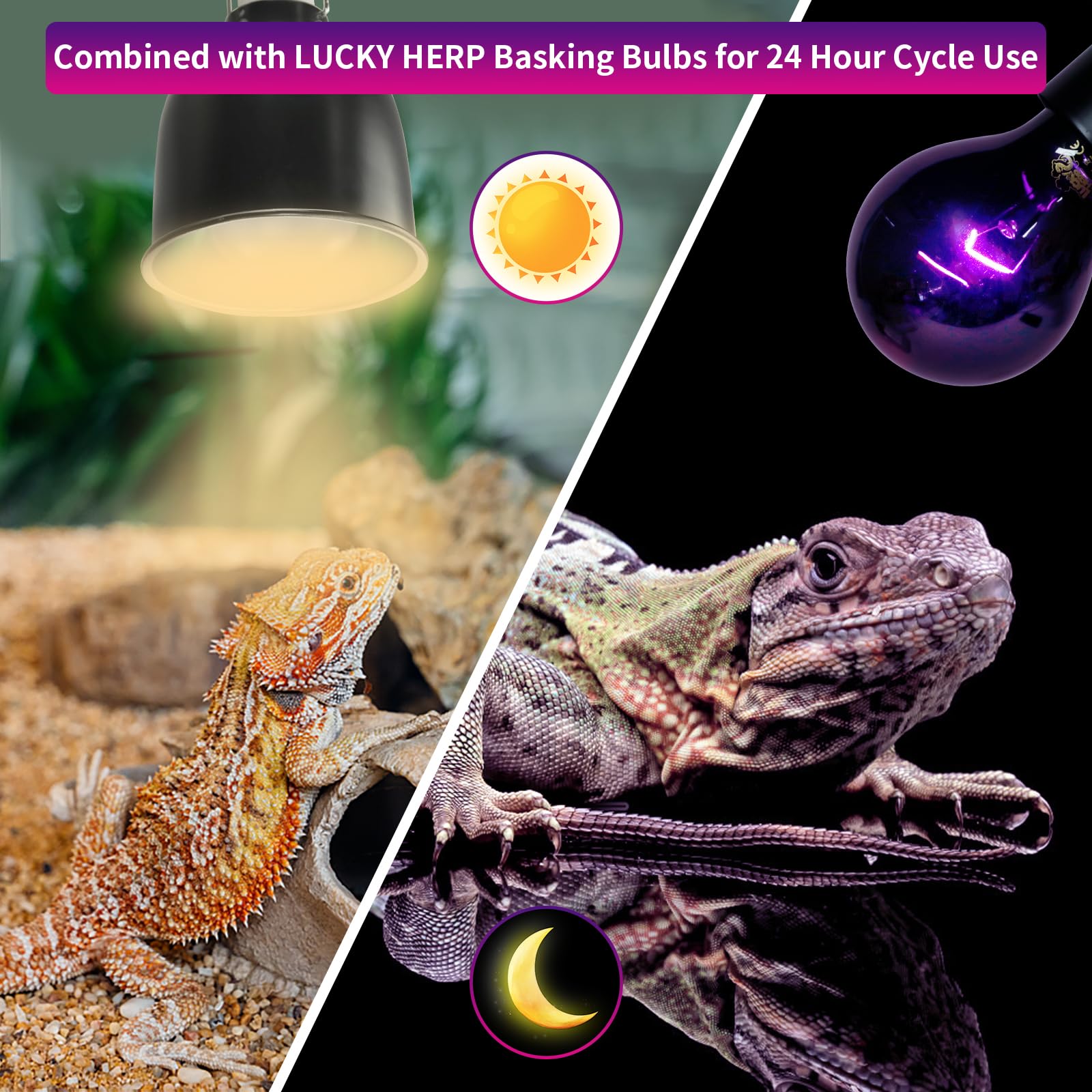 LUCKY HERP suitable for lizards, snakes, turtles, and other reptiles.