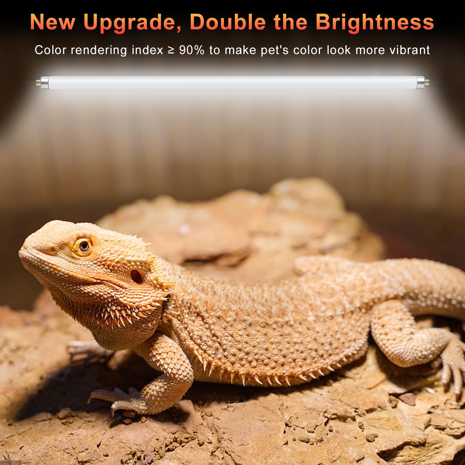 LUCKY HERP T5 UVB lamp close-up showing 10.0 UVB with UVA spectrum