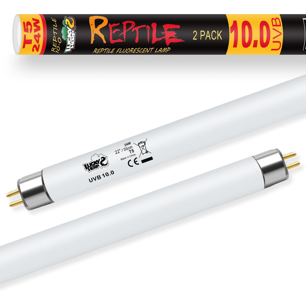 LUCKY HERP T5 UVB Reptile Light 2-pack broad coverage for larger terrariums