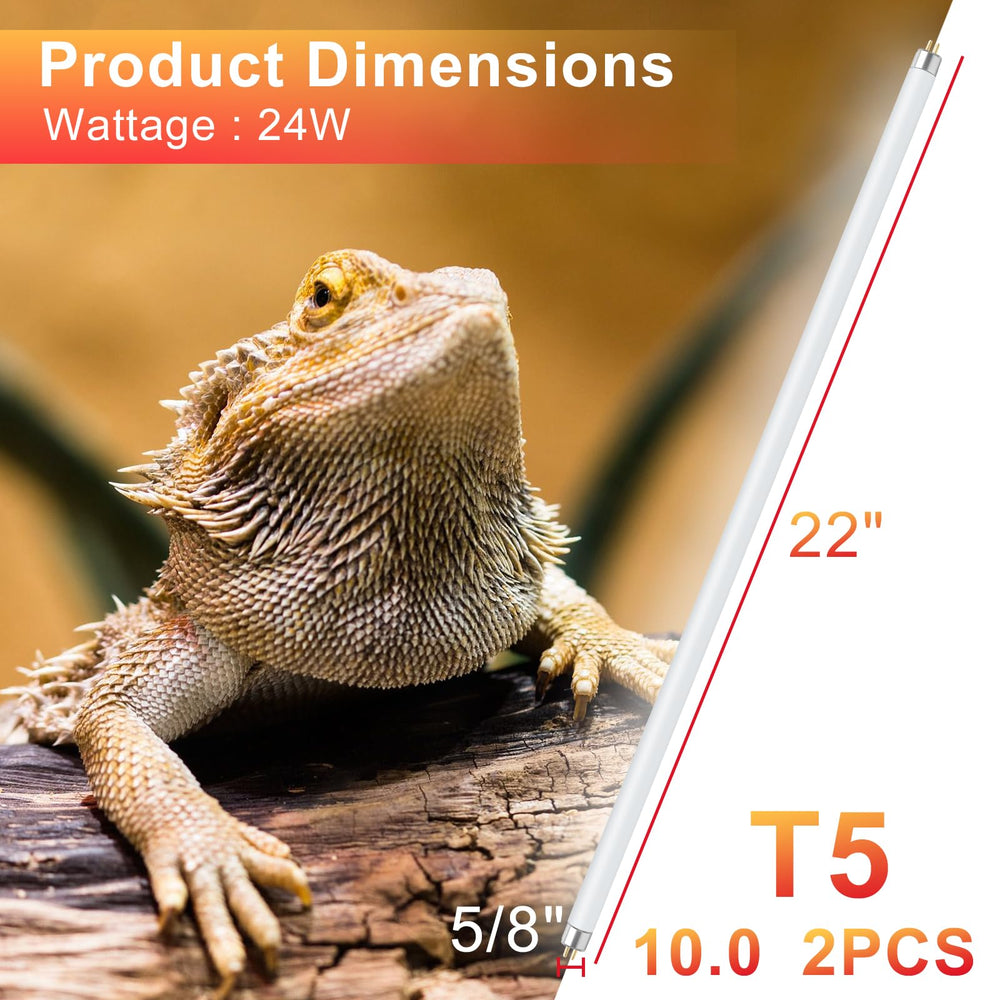 LUCKY HERP UVB light supports diurnal activity and feeding behaviors