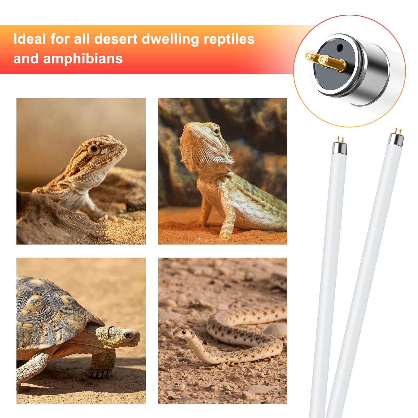 LUCKY HERP UVB lamp suitable for bearded dragons, tortoises, and chameleons