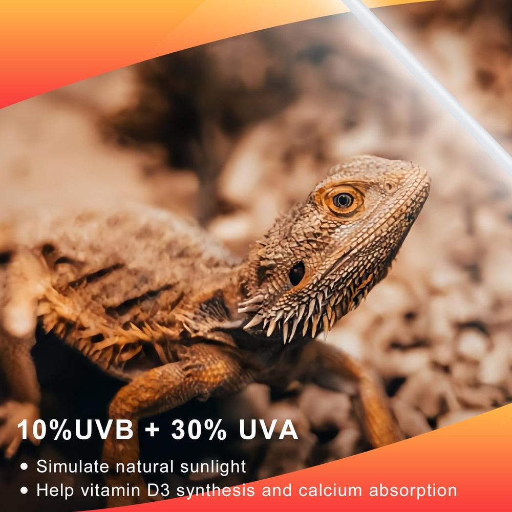 LUCKY HERP T5 UVB covers a wide area for even illumination