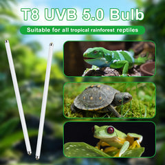 LUCKY HERP T8 15W UVB bulb in terrarium provides natural-like lighting for reptiles.