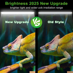 LUCKY HERP T8 15W UVB bulb in use promotes uniform UV exposure across glass terrariums.