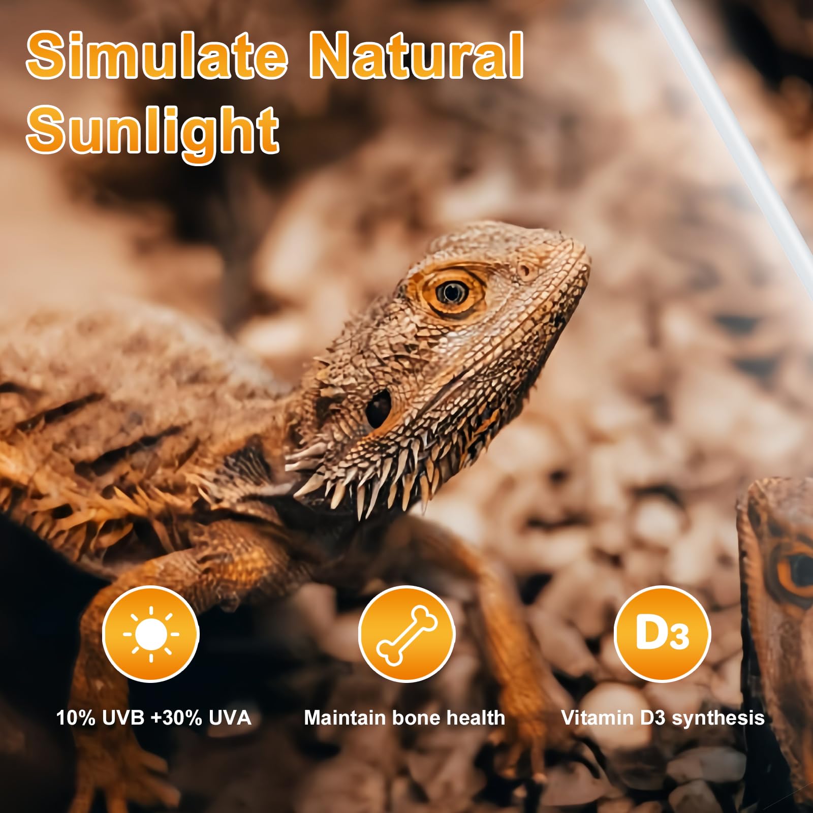 LUCKY HERP T8 18W UVB 10.0 dual-lamp set visible in a large enclosure with even lighting.