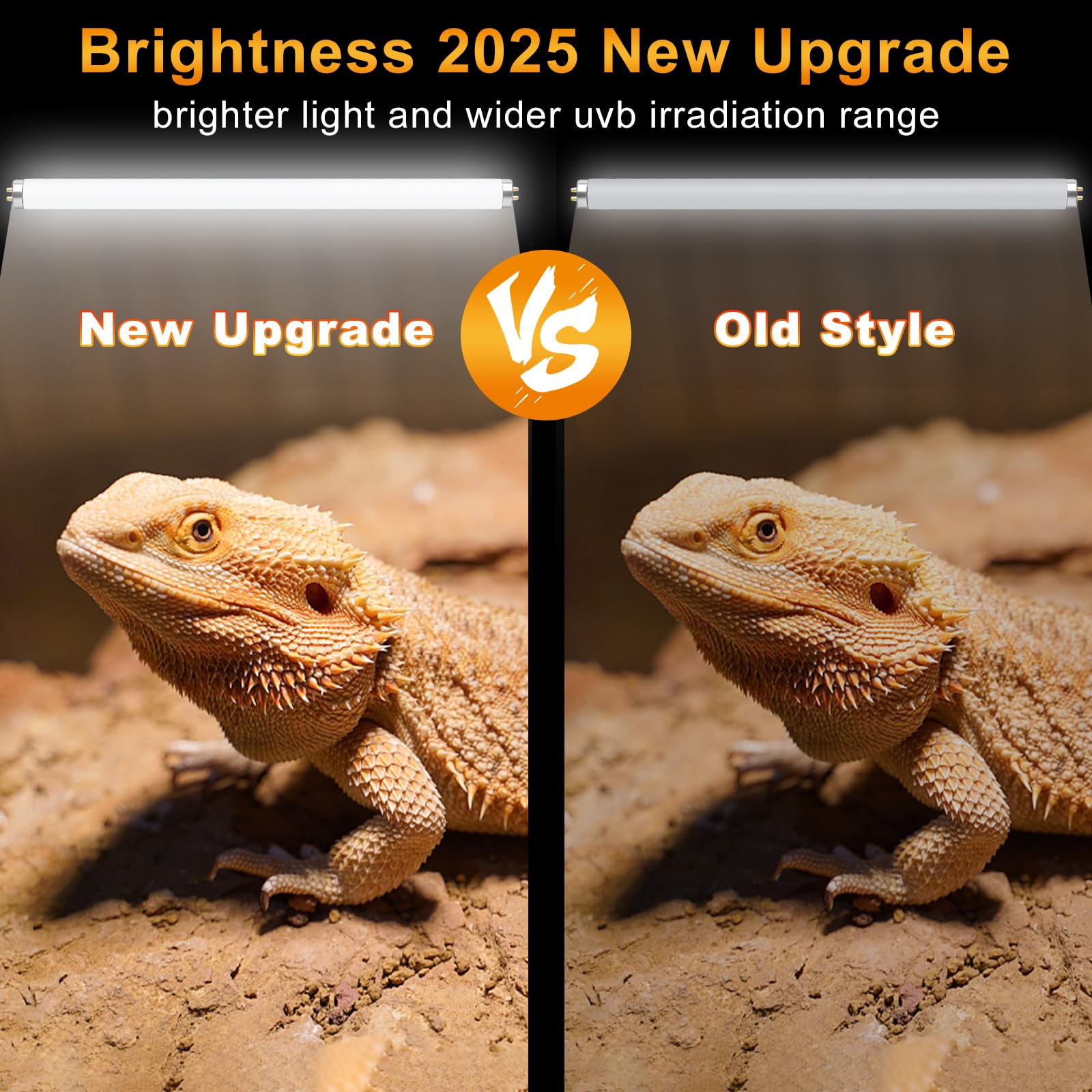 LUCKY HERP T8 18W UVB 10.0 wide-coverage lighting over a glass terrarium for full-area exposure.