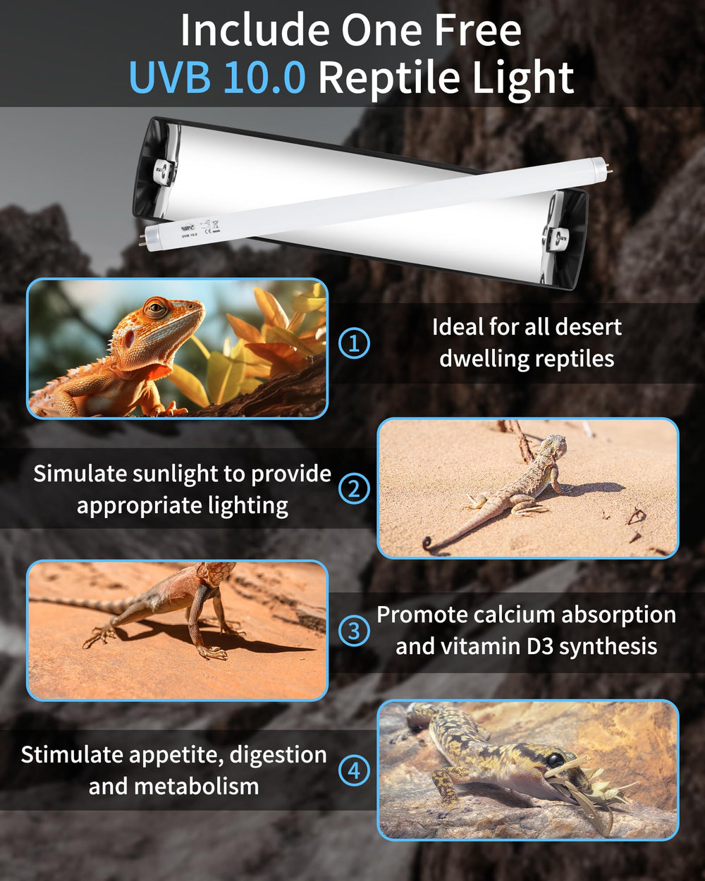Lucky Herp T8 UVB coverage across enclosure for multiple species