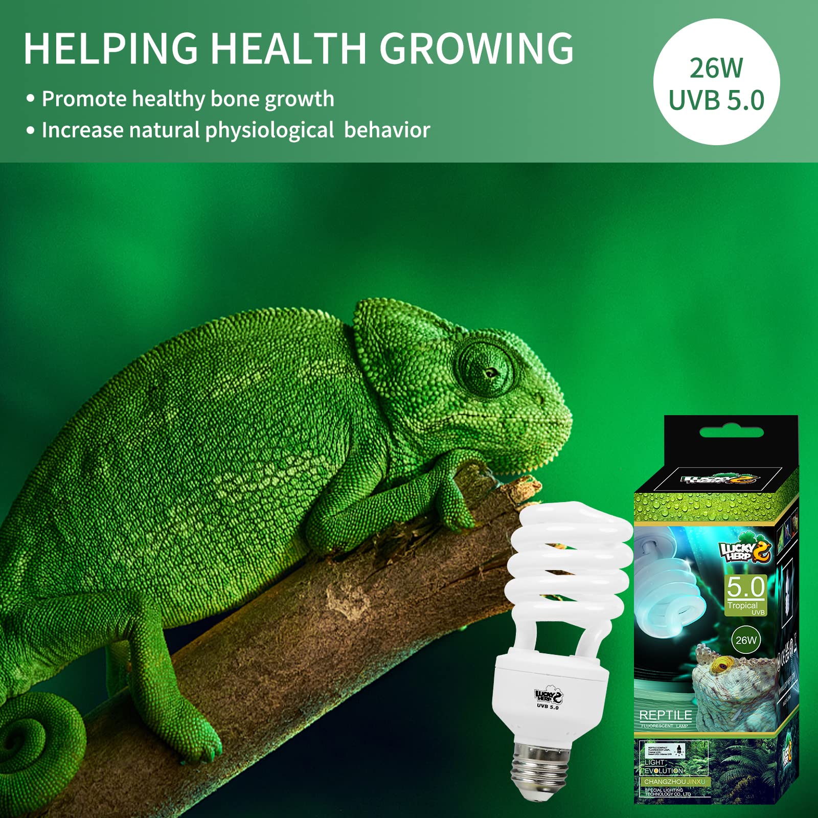 LUCKY HERP lamp in action over a tropical terrarium promoting natural light for reptiles.