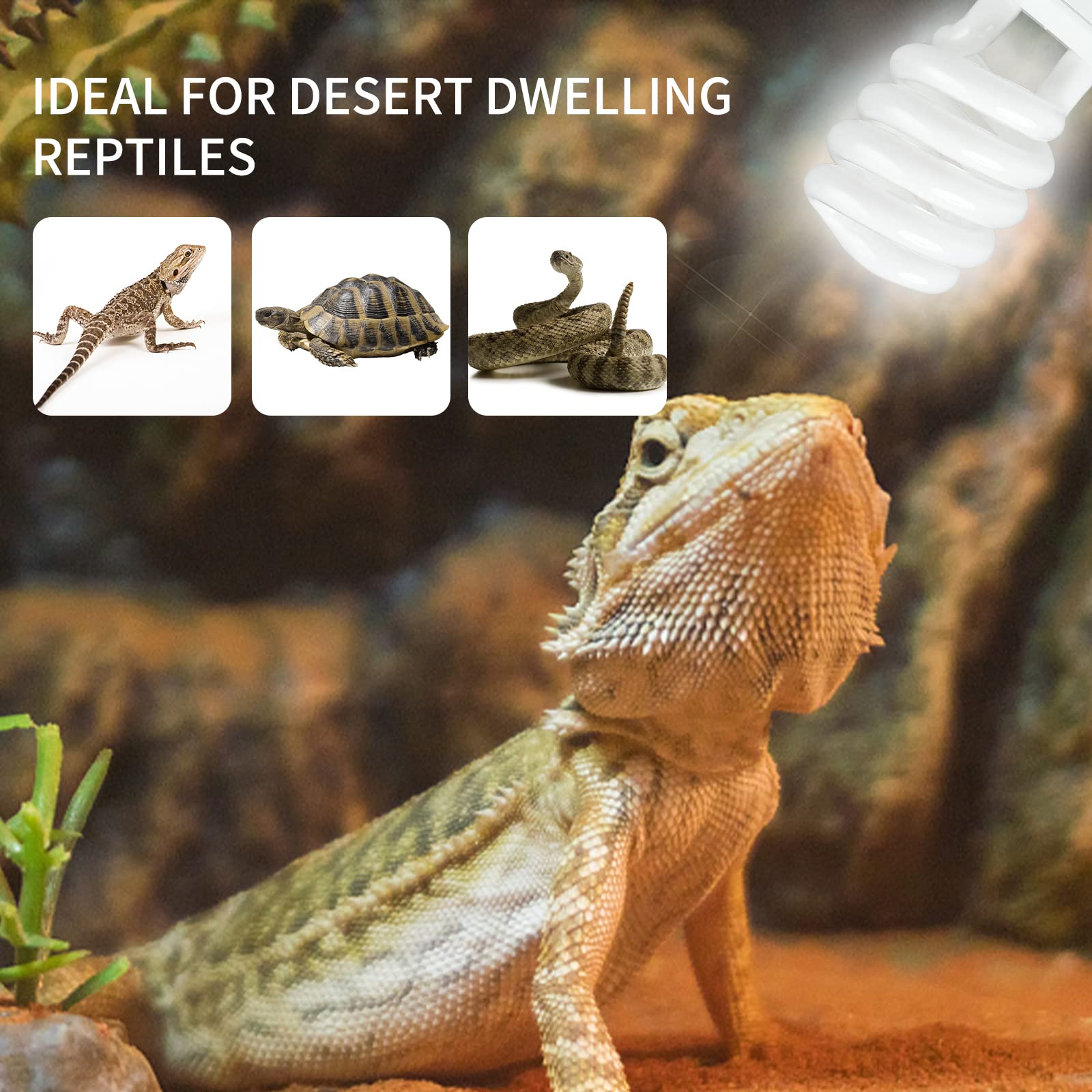 Lucky Herp two-pack enables lighting in two terrariums.