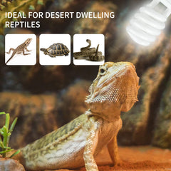 Lucky Herp two-pack enables lighting in two terrariums.