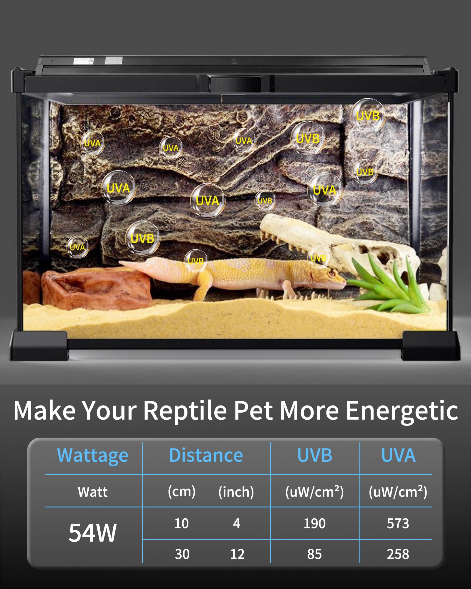 LUCKY HERP ensures bright, vibrant colors and clear details in your terrarium.