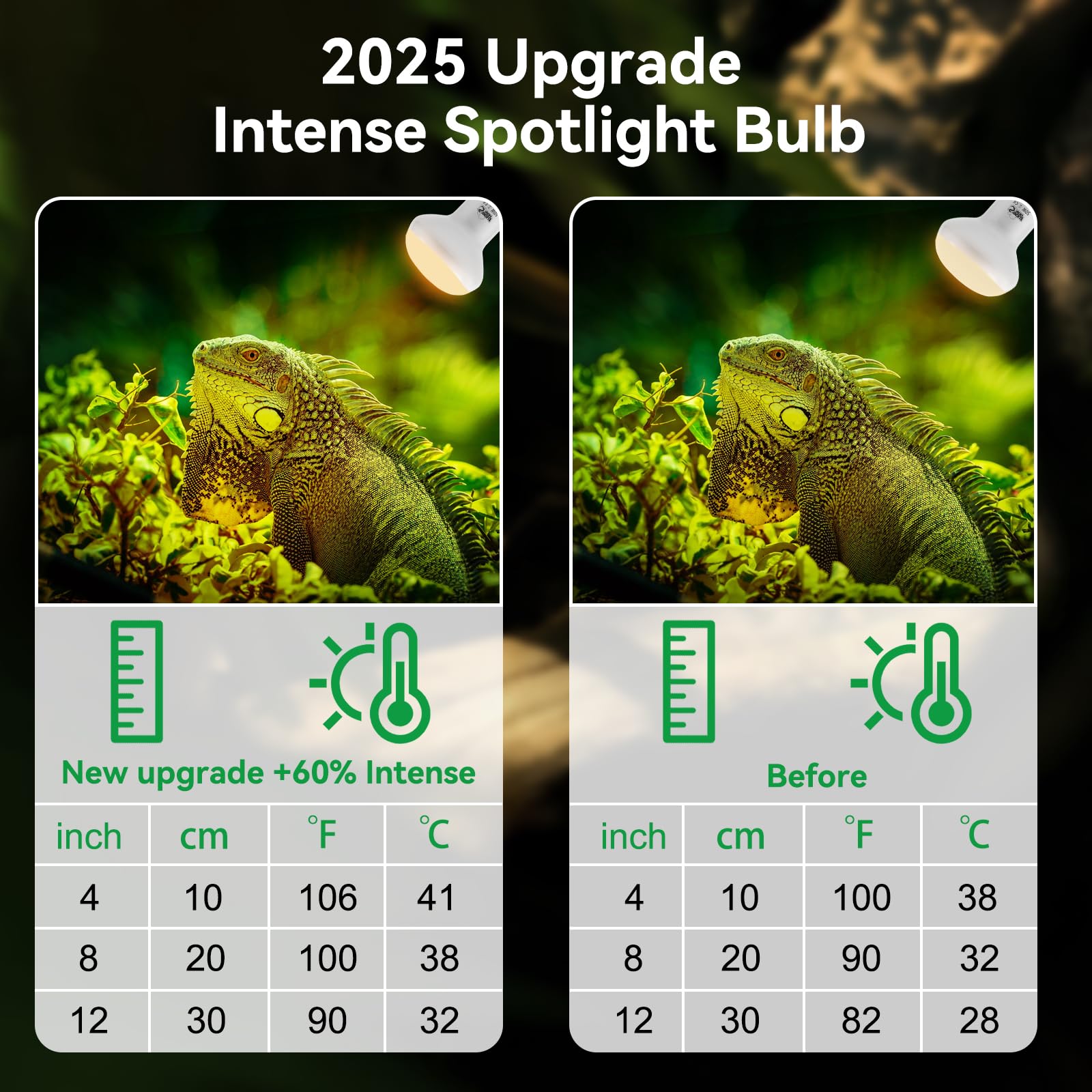 LUCKY HERP UVA heat coverage provides balanced light and warmth.
