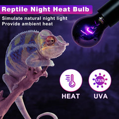 LUCKY HERP UVA reptile light supports natural activity and comfort at night.