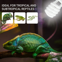 LUCKY HERP UVA UVB 5.0 lamp mounted on canopy for daytime heating and color.