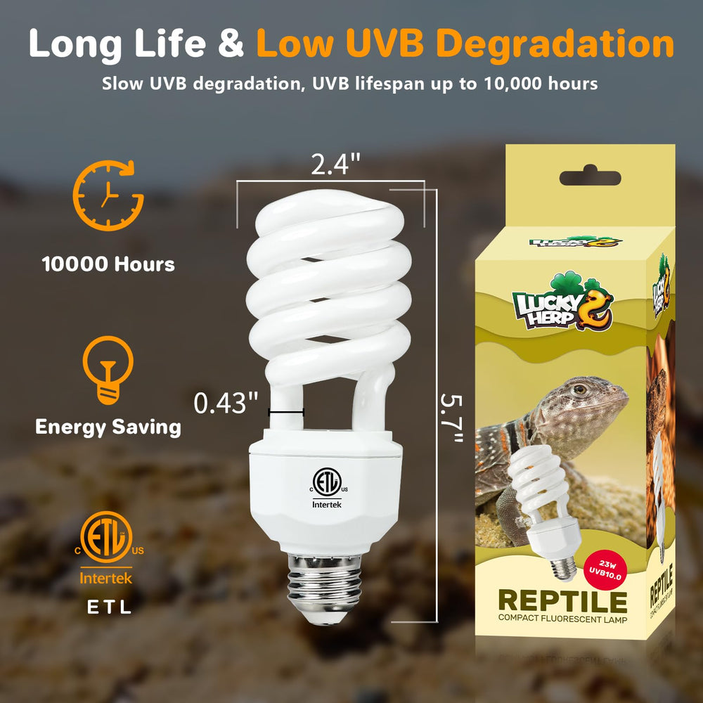 Lucky Herp UVA UVB reptile light simulating sunlight to support activity and exploration.