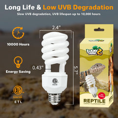 Lucky Herp UVA UVB reptile light simulating sunlight to support activity and exploration.