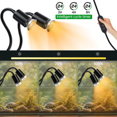 LUCKY HERP UVB UVA bulbs support natural activity and calcium uptake