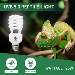 LUCKY HERP UVB light provides even coverage across a tropical terrarium.