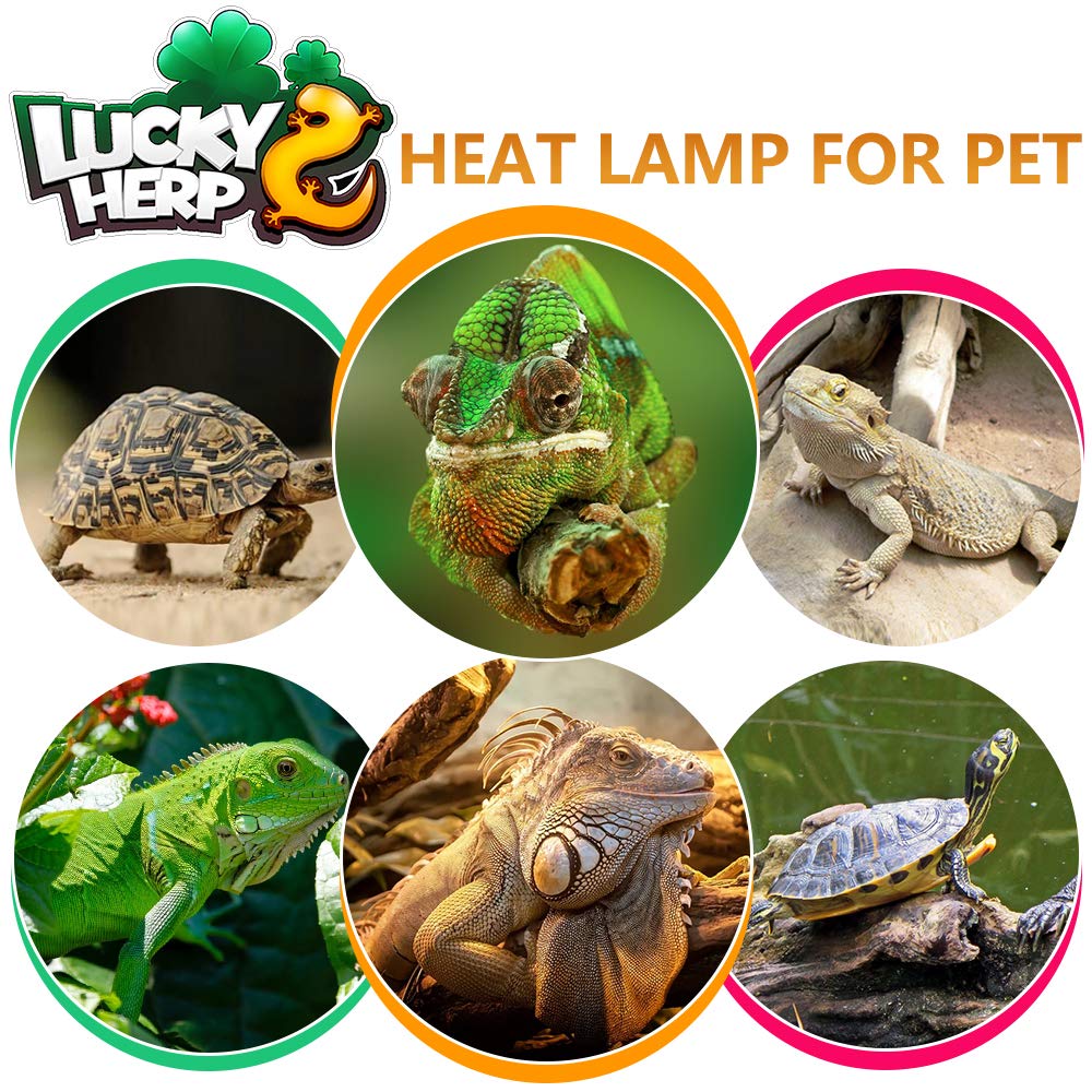 LUCKY HERP vapor heat lamp maintenance tip highlights automatic shutoff feature.