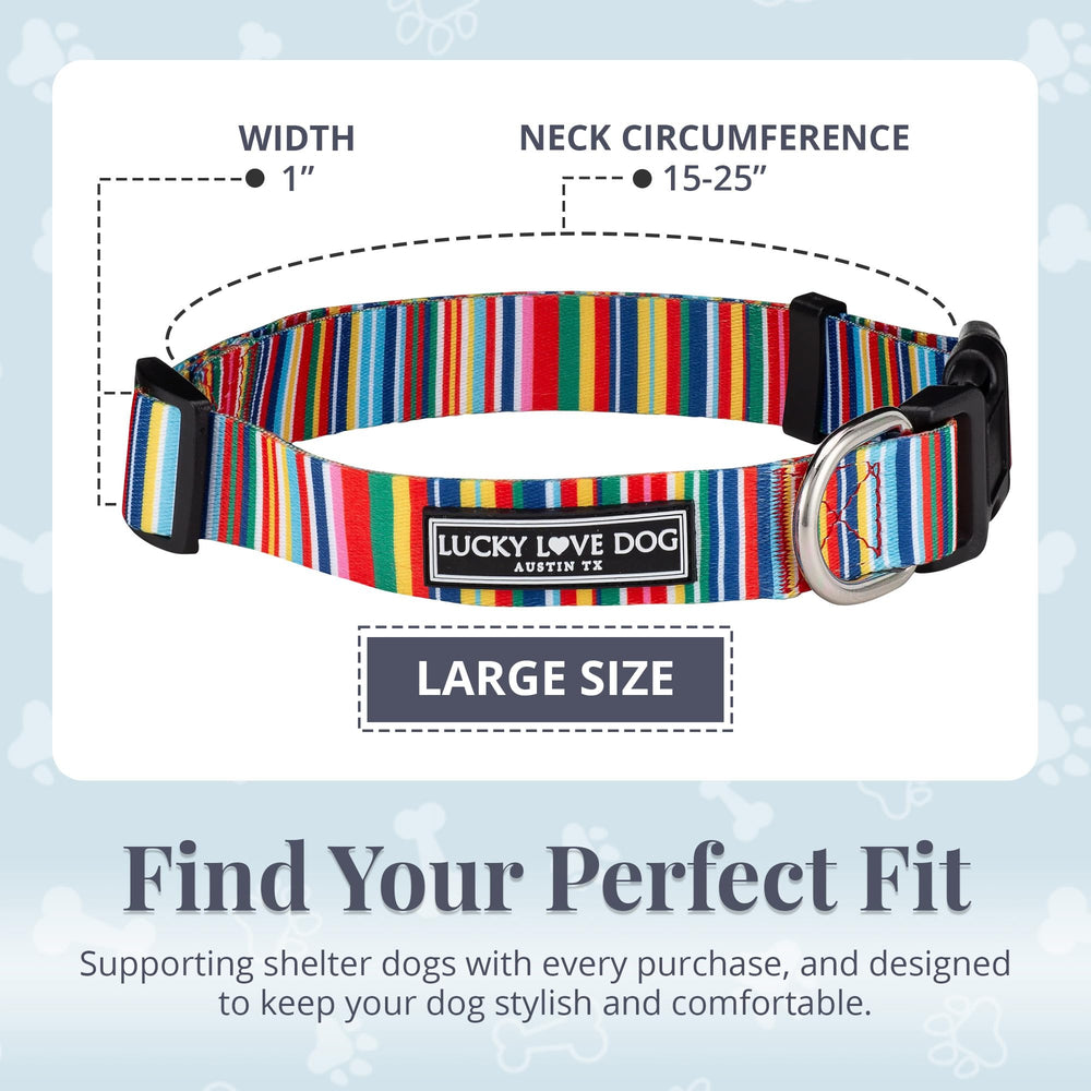 Lucky Love Dog floral-pattern collar closeup for stylish daily wear.