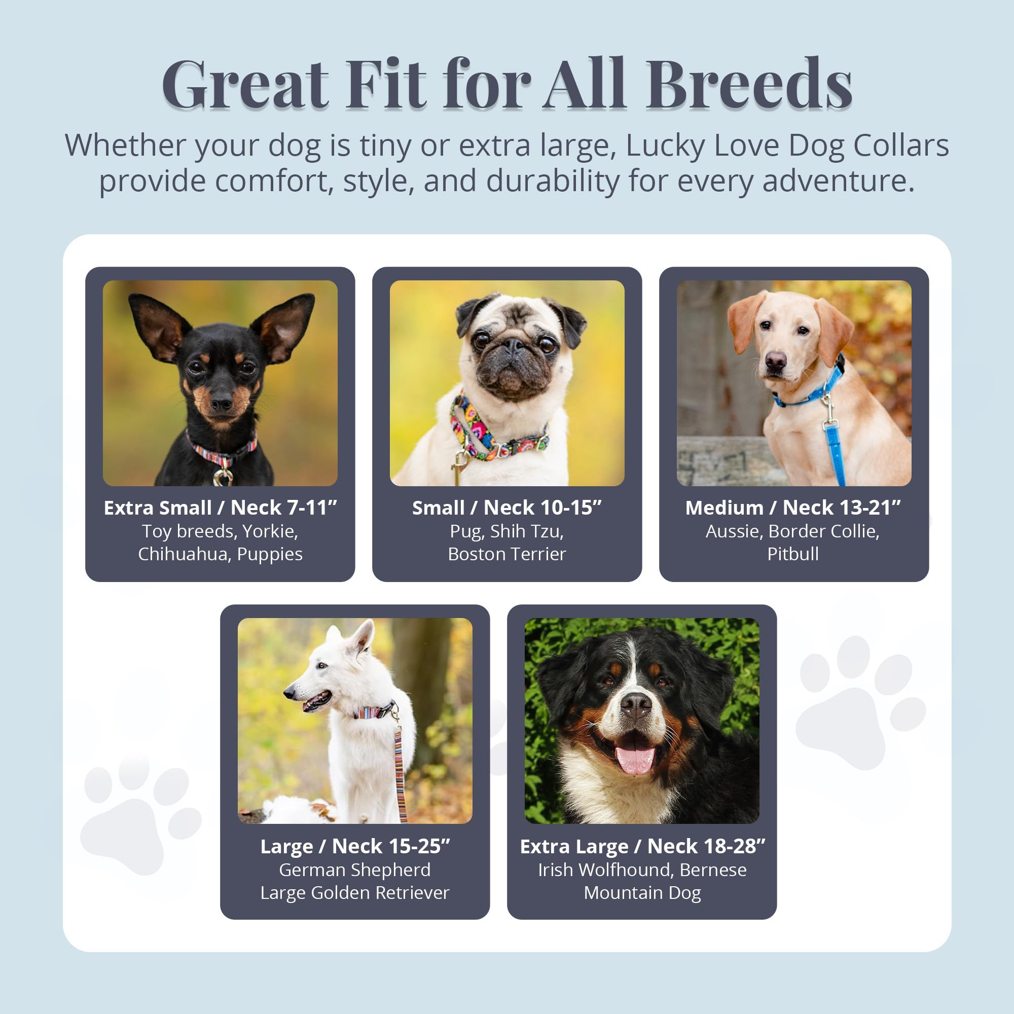 Lucky Love Dog neck-measure guide shows sizing for best fit.
