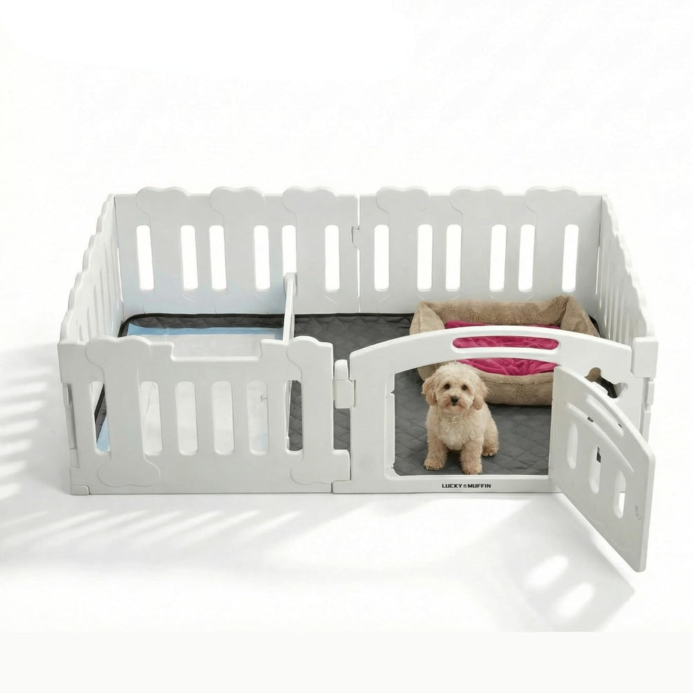 LUCKY MUFFIN dog playpen assembly demonstrates tool-free setup for quick use.