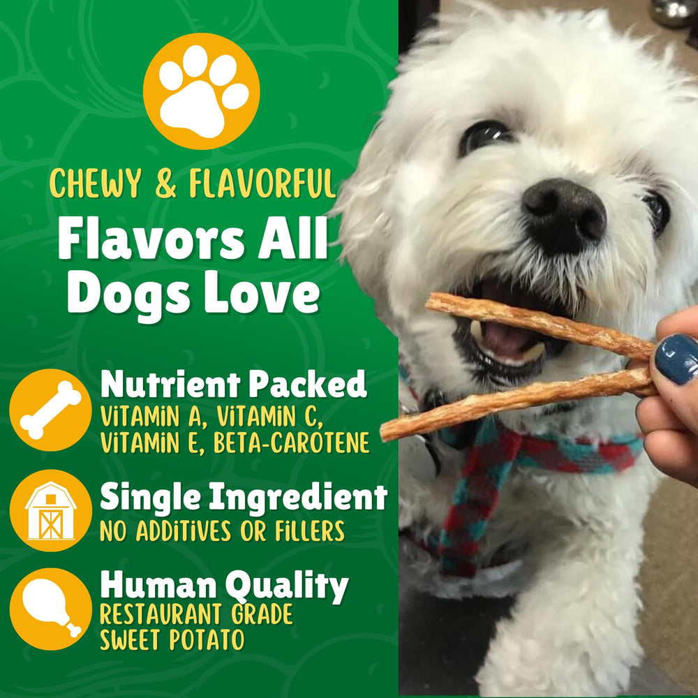 Lucky Premium Treats dog enjoying savory sweet potato straws