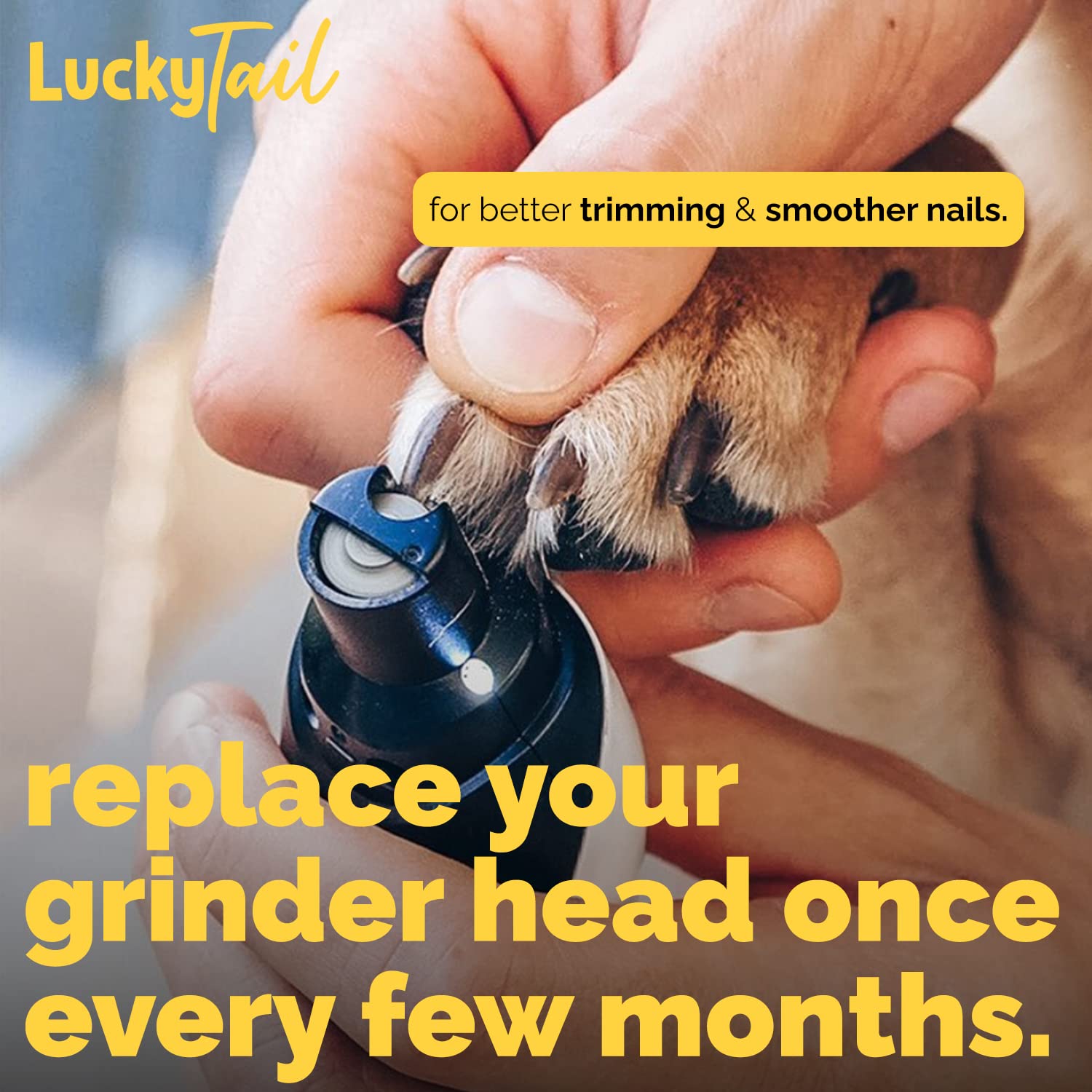 LUCKY TAIL replacement head pack with hard and soft heads for versatility