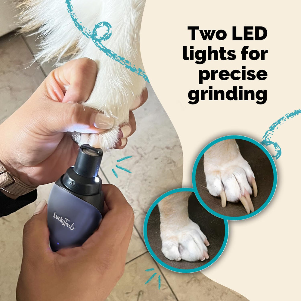 LUCKY TAIL two speeds for gentle or detailed nail care