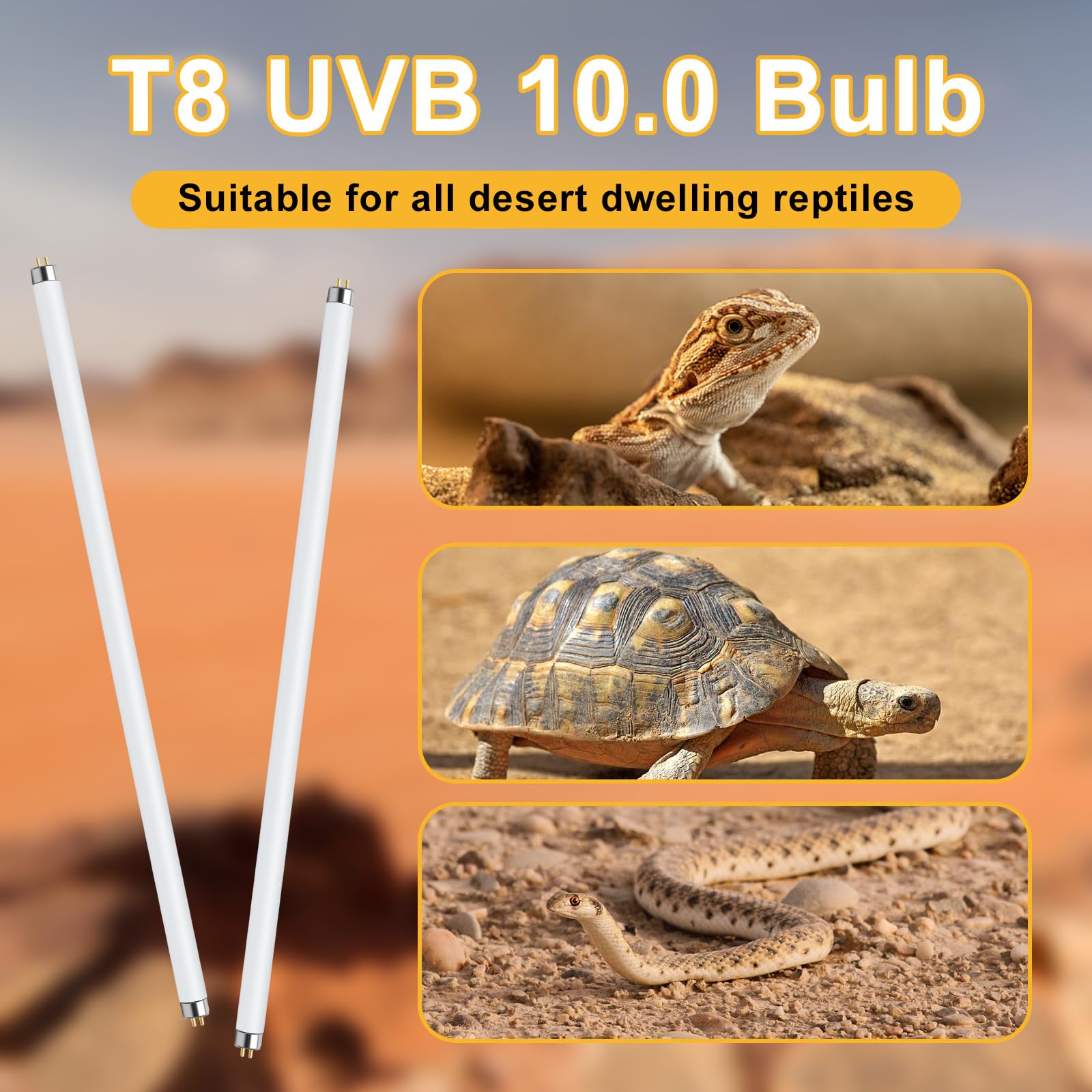 LUCKY HERP T8 UVB 15W desert terrarium illumination for desert reptiles.