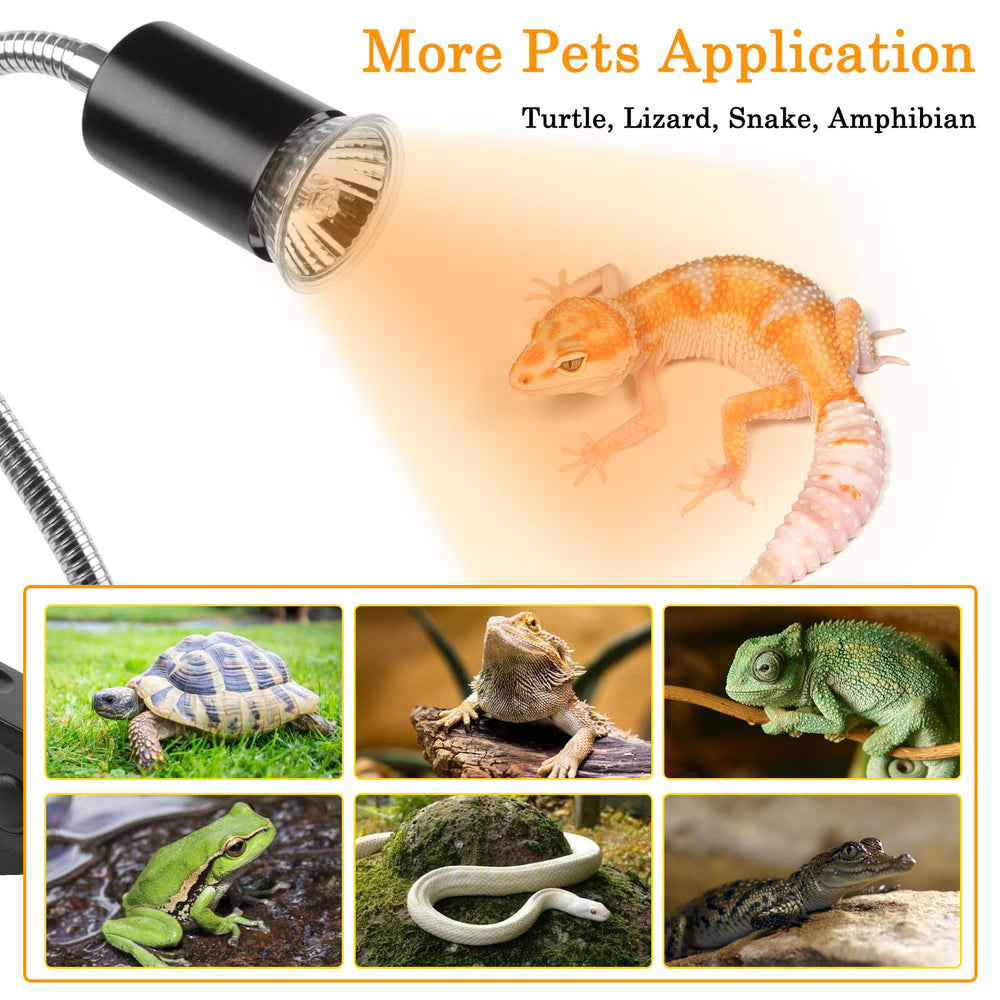 LUCKY HERP UVB bulbs deliver reliable warmth and UV exposure.