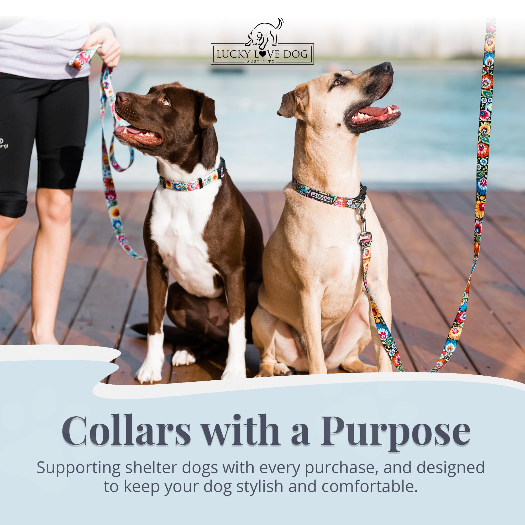 Lucky Love Dog collar and leash combo supports safe, stylish daily walks.