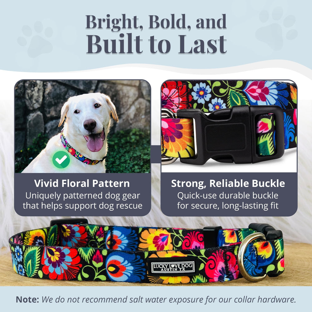Lucky Love Dog floral-pattern collar with durable webbing for daily wear and style.