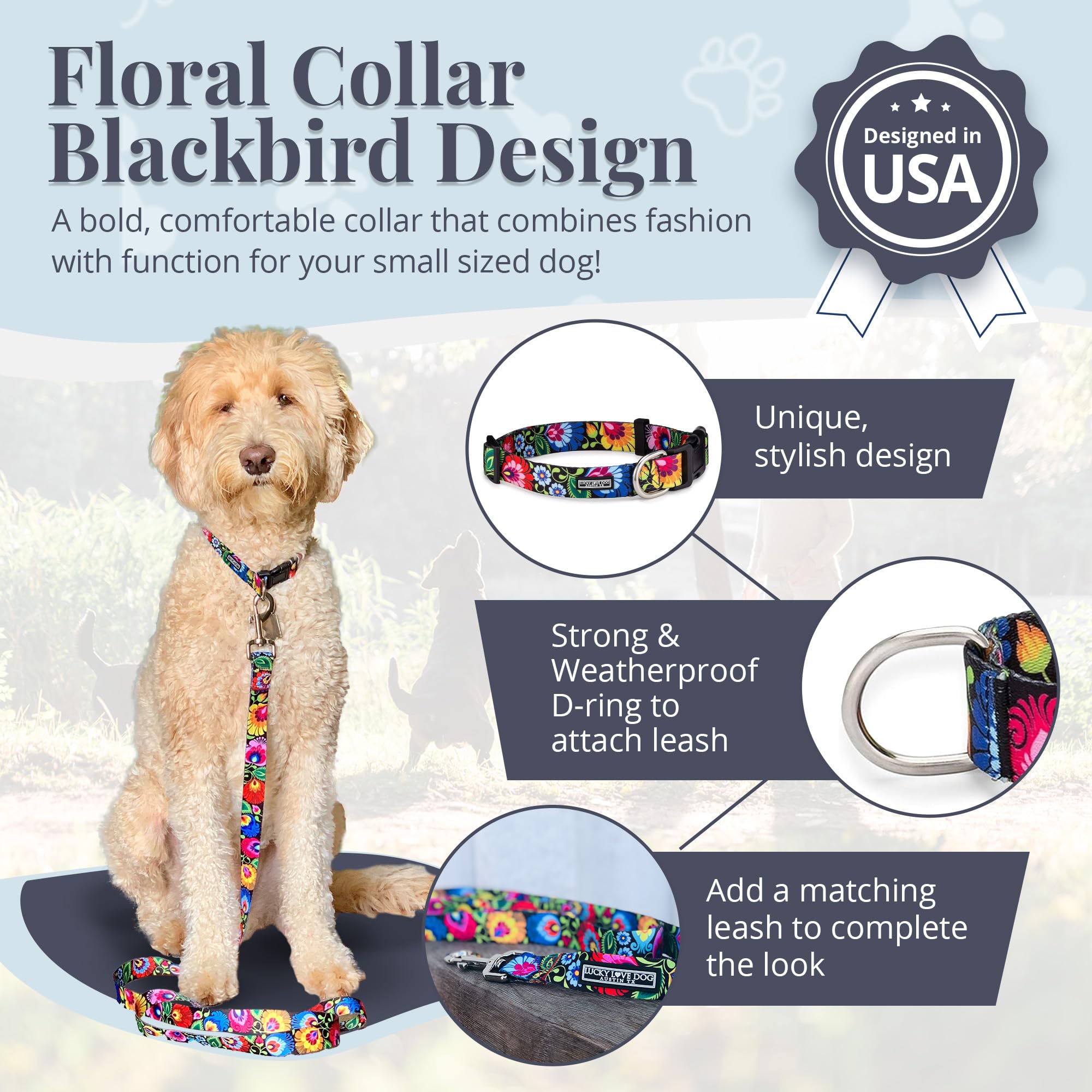 Lucky Love Dog floral-pattern collar design adds vibrant style to daily walks