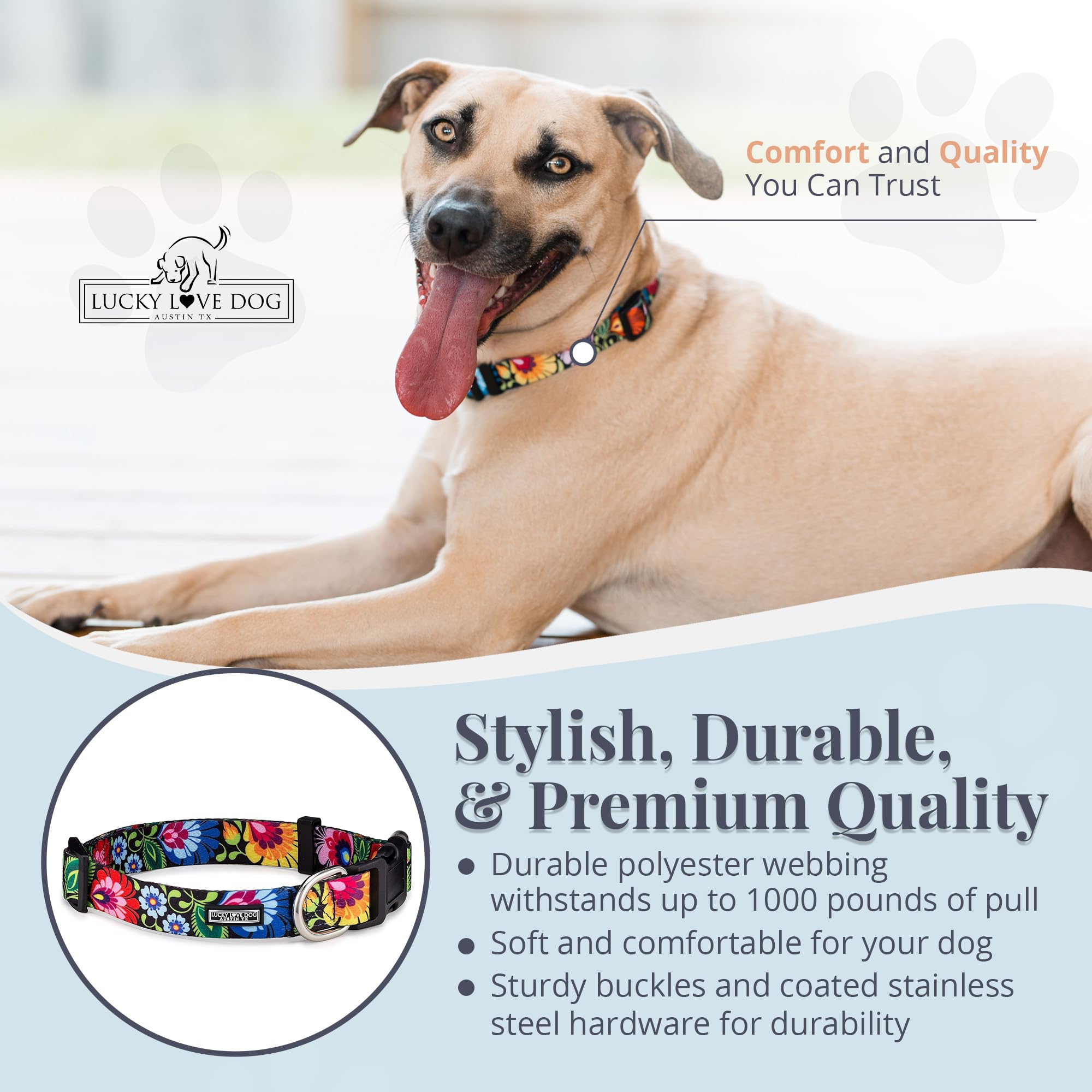 Lucky Love Dog weatherproof D-ring collar for outdoor adventures and long-lasting durability.