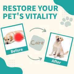 Luckyond at-home care for dogs, convenient de-worming as part of regular routines.