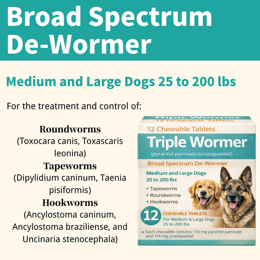Luckyond dog dewormer chewable pill ready for simple administration during routine care.