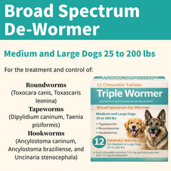 Luckyond dog dewormer chewable pill ready for simple administration during routine care.