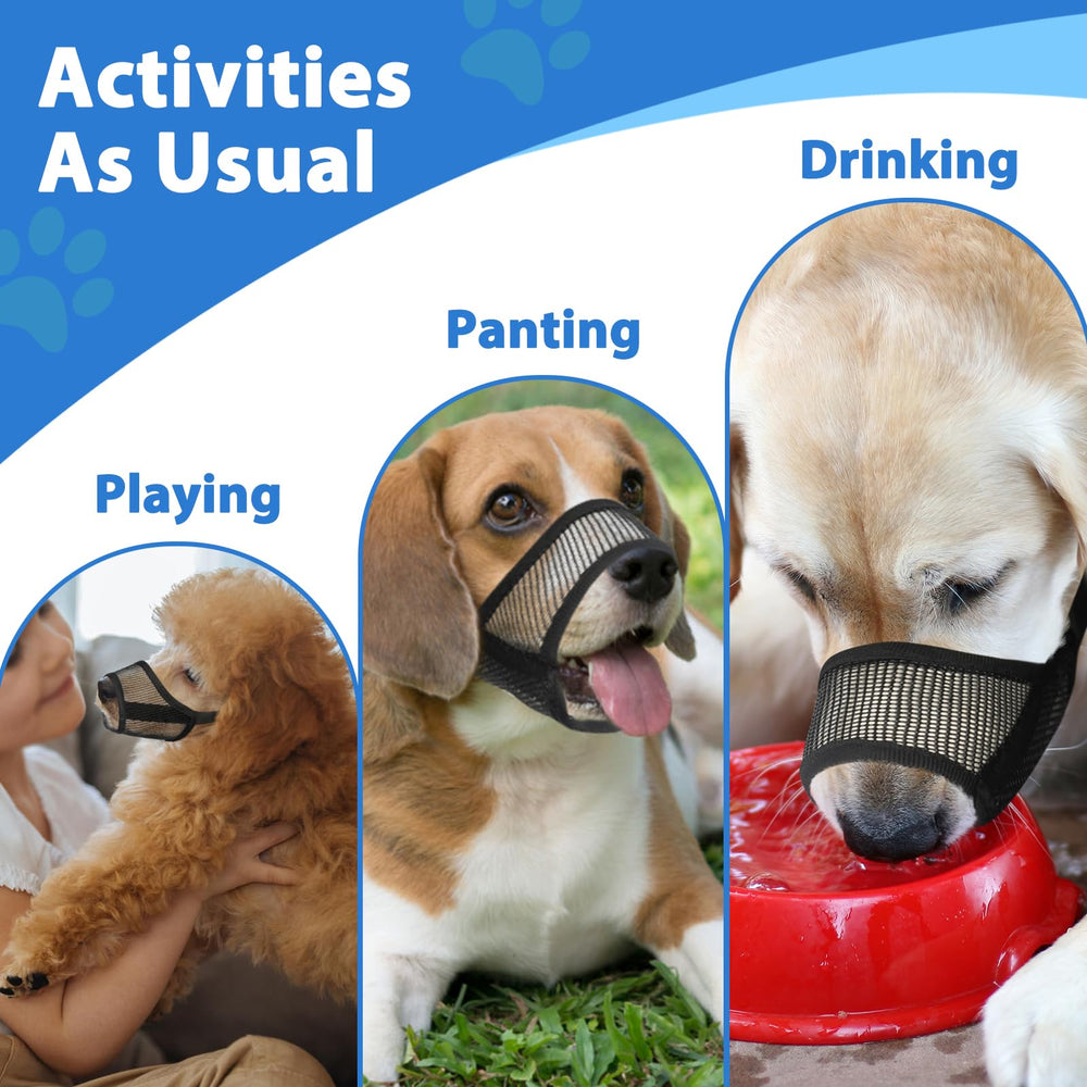 LUCKYPAW mesh breathable design emphasizes airflow and comfort during sessions.
