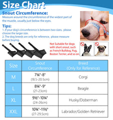 LUCKYPAW mesh breathable muzzle keeping dogs comfortable during sessions
