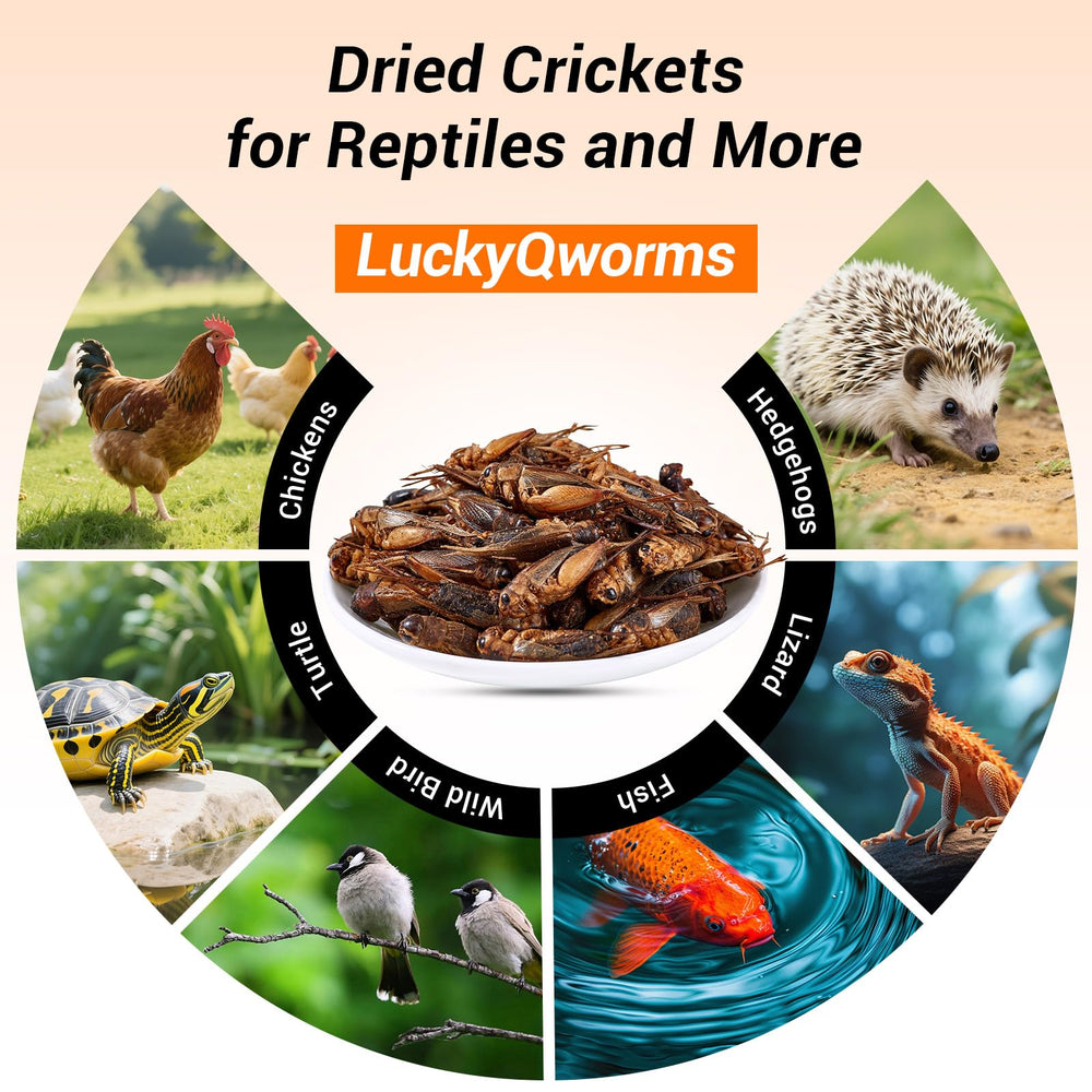 LuckyQworms calcium-rich insects support shell and bone development