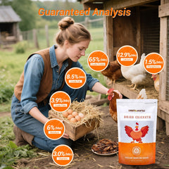 LuckyQworms protein-rich crickets provide strong energy for pets
