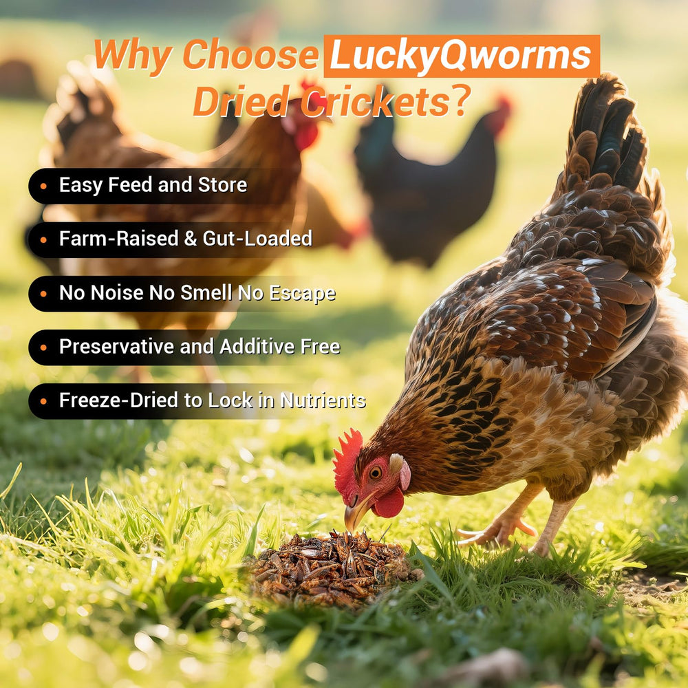LuckyQworms resealable bag shown for mess-free storage
