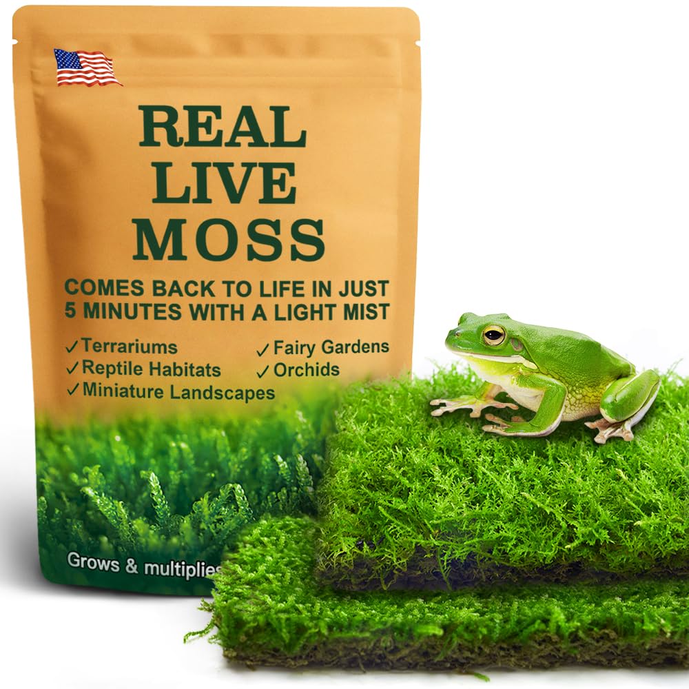 LUCKYRUNES Live Moss Duo Pack two varieties for natural terrarium floors and texture contrast.