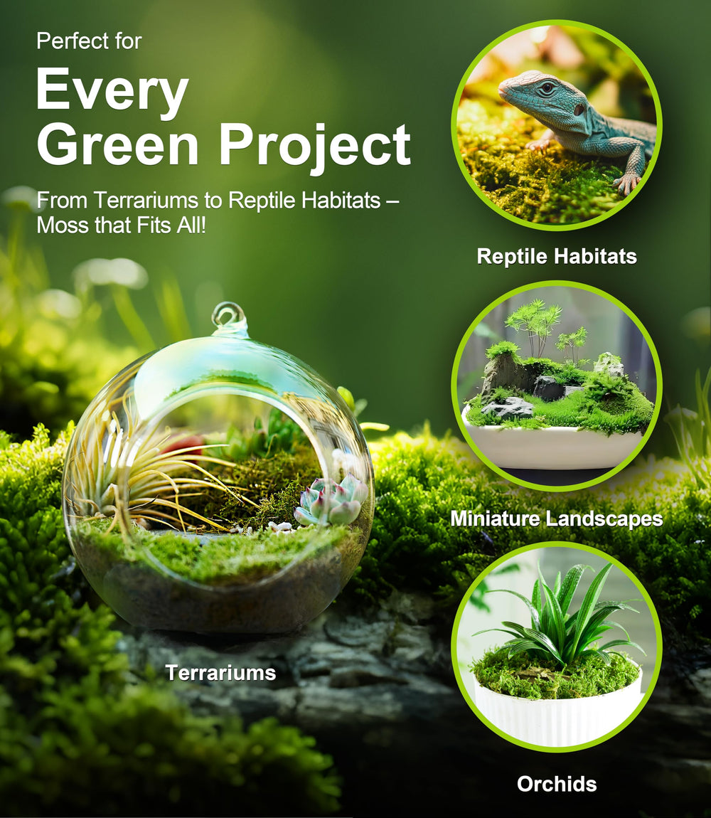 LuckyRunes sealed packaging keeps moss fresh for easy setup