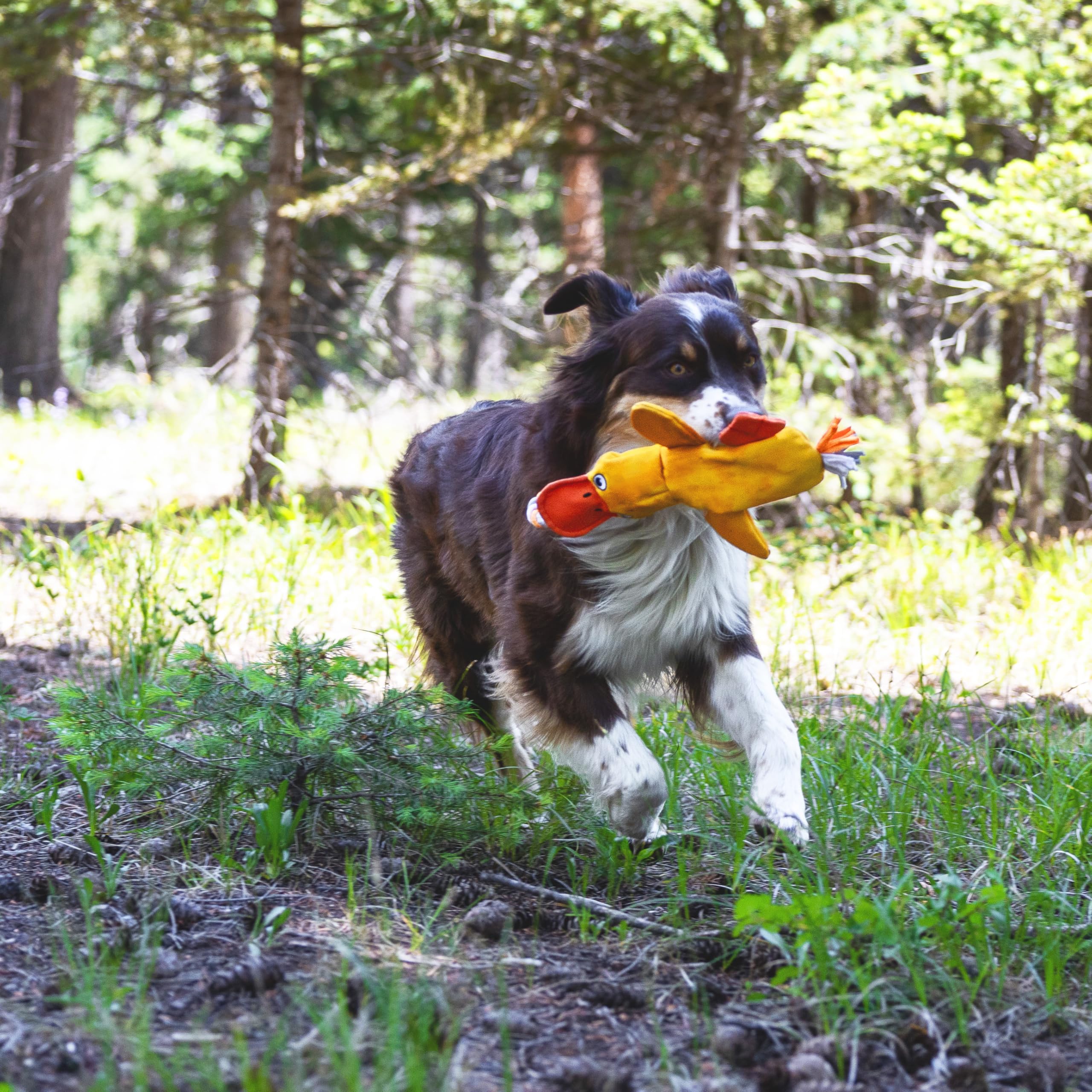 LUCOLOVE duck lure adds multi-sensory appeal with squeak and crackle.