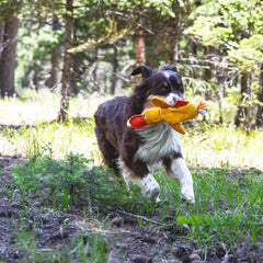 LUCOLOVE duck lure adds multi-sensory appeal with squeak and crackle.