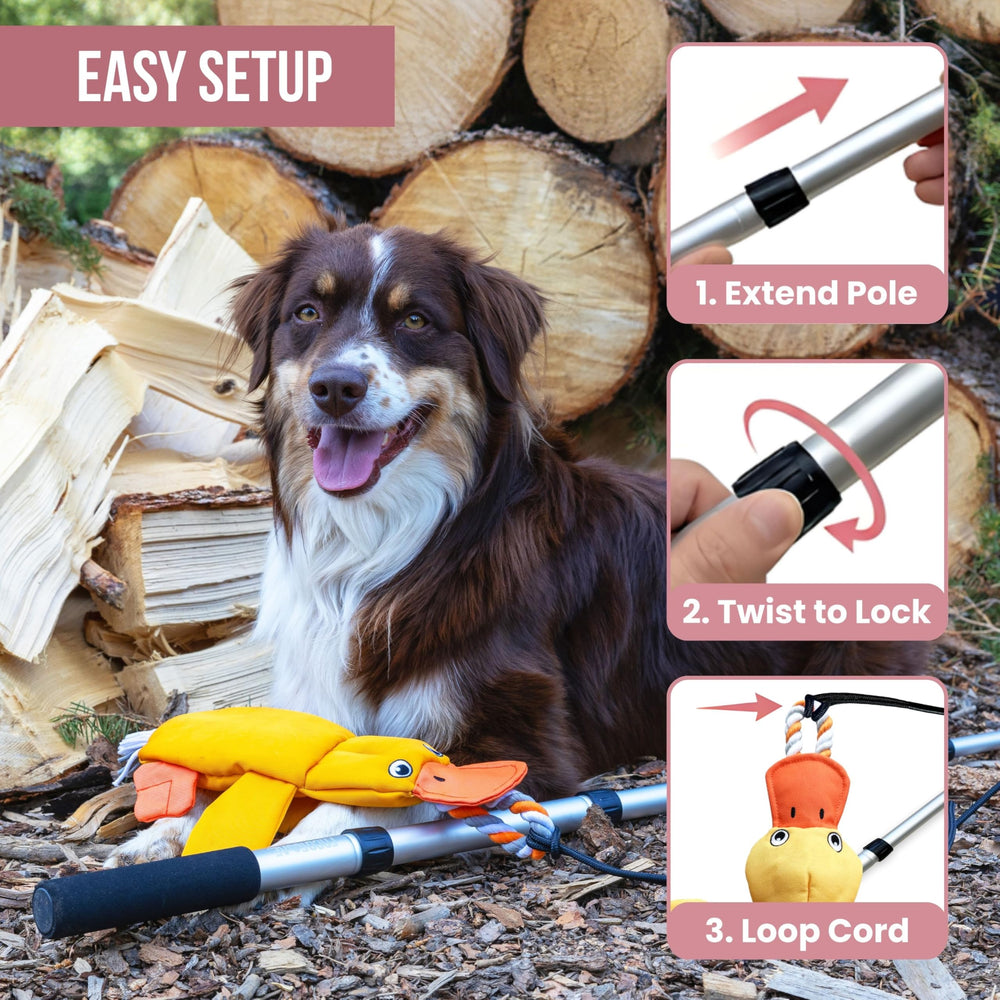 LUCOLOVE backyard play setup for engaging dog exercise.